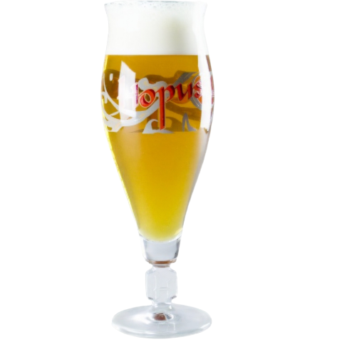 VASO HOPUS 33CL