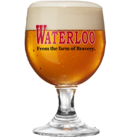 VASO WATERLOO 33CL