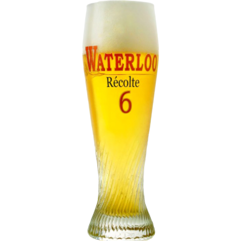 VASO WATERLOO RECOLTE 33CL
