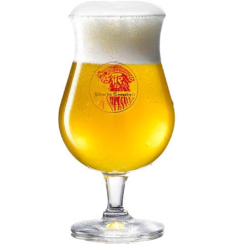 VASO BIERE DU CORSAIRE 33CL