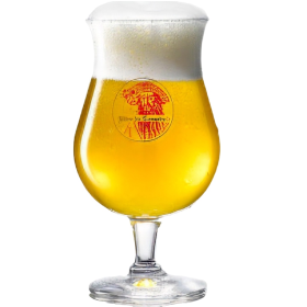 VASO BIERE DU CORSAIRE 33CL