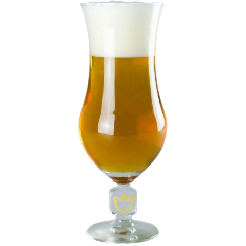 VASO BLOEMENBIER 33CL