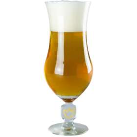 VASO BLOEMENBIER 33CL